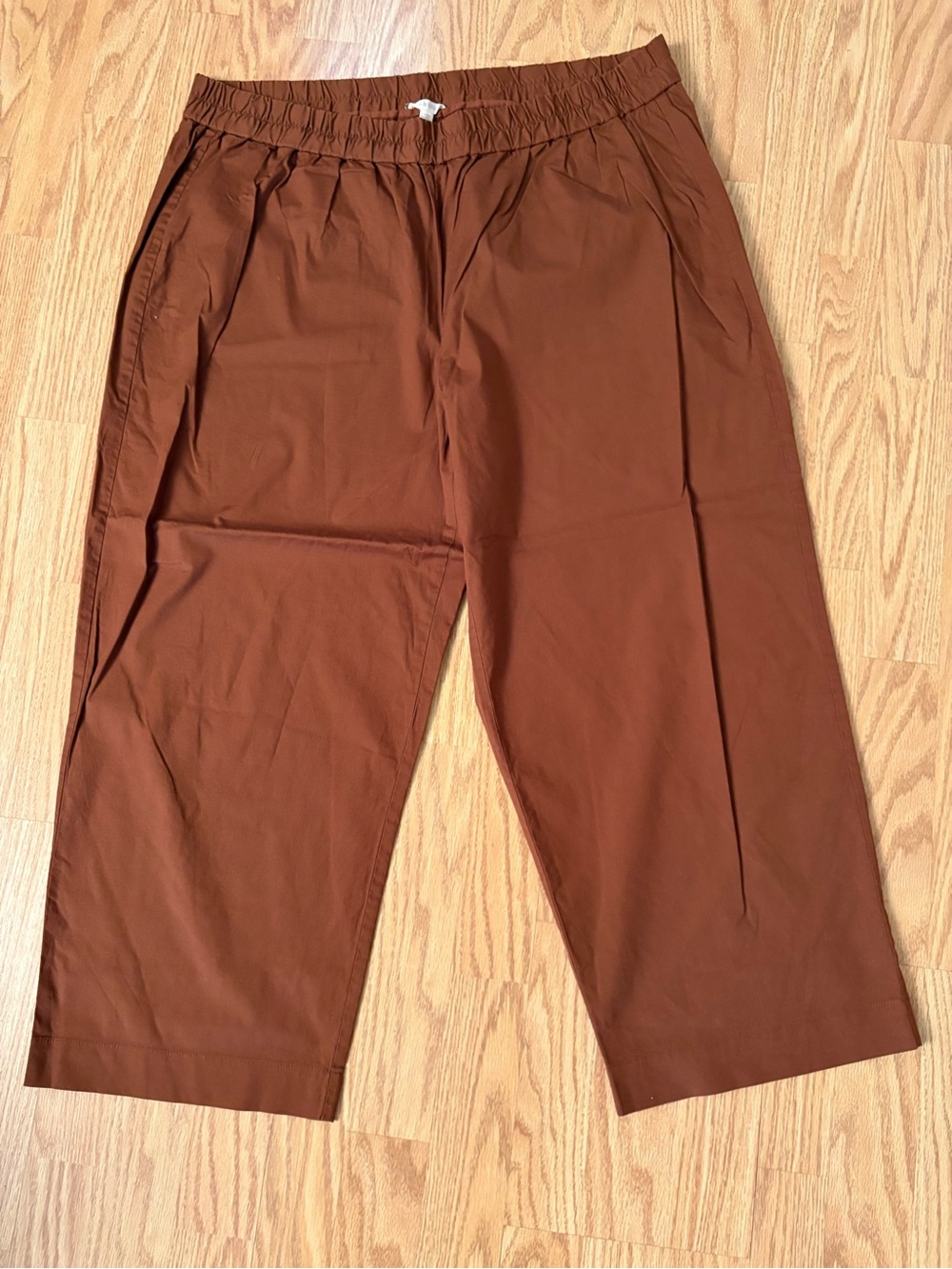 Eileen Fisher Rust Brown Elastic-Waist Chinos